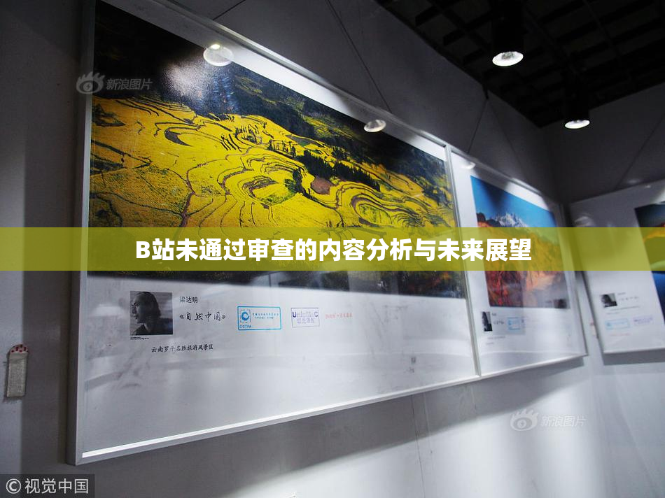 B站未通过审查的内容分析与未来展望