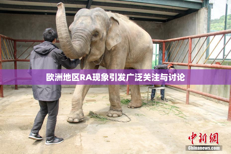 欧洲地区RA现象引发广泛关注与讨论