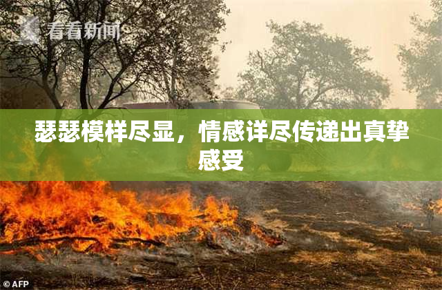 瑟瑟模样尽显，情感详尽传递出真挚感受