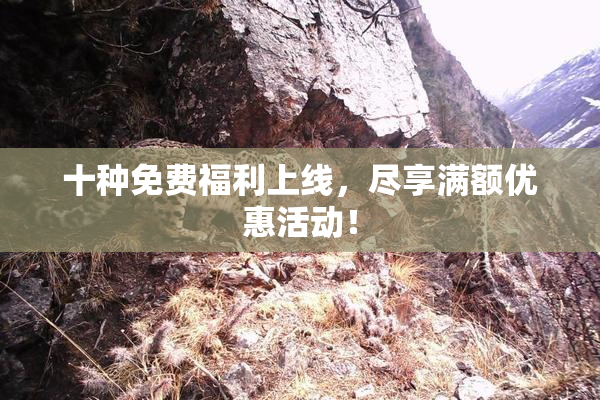 十种免费福利上线，尽享满额优惠活动！