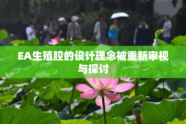 EA生殖腔的设计理念被重新审视与探讨