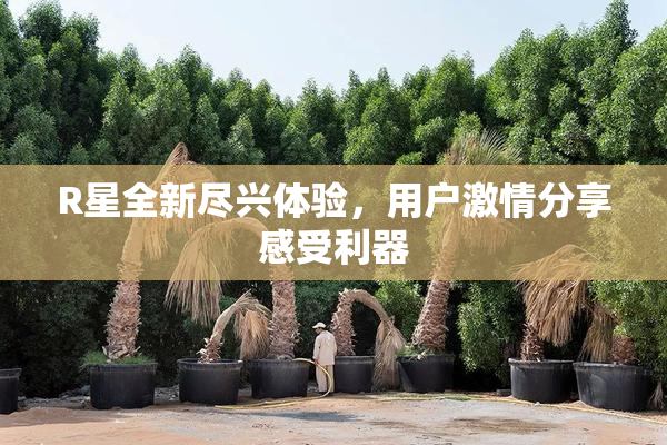 R星全新尽兴体验，用户激情分享感受利器