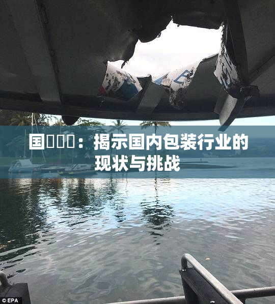国產梱綁：揭示国内包装行业的现状与挑战