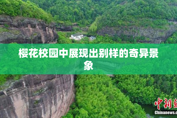 樱花校园中展现出别样的奇异景象