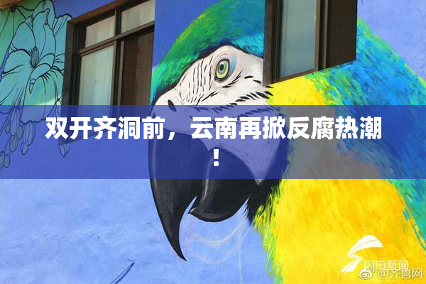 双开齐洞前，云南再掀反腐热潮！