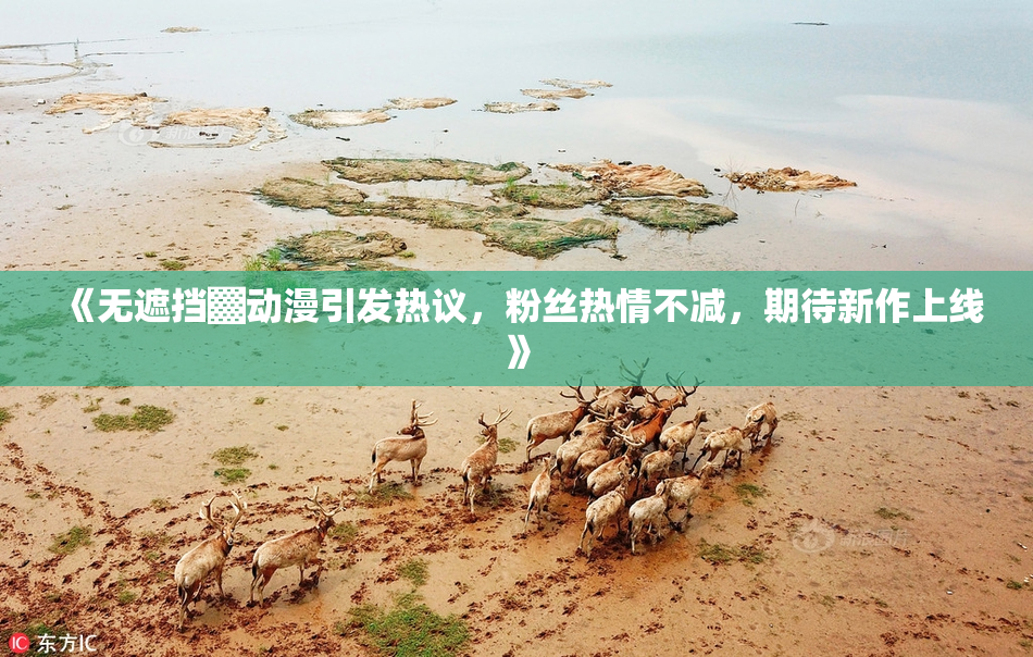 《无遮挡▓动漫引发热议，粉丝热情不减，期待新作上线》
