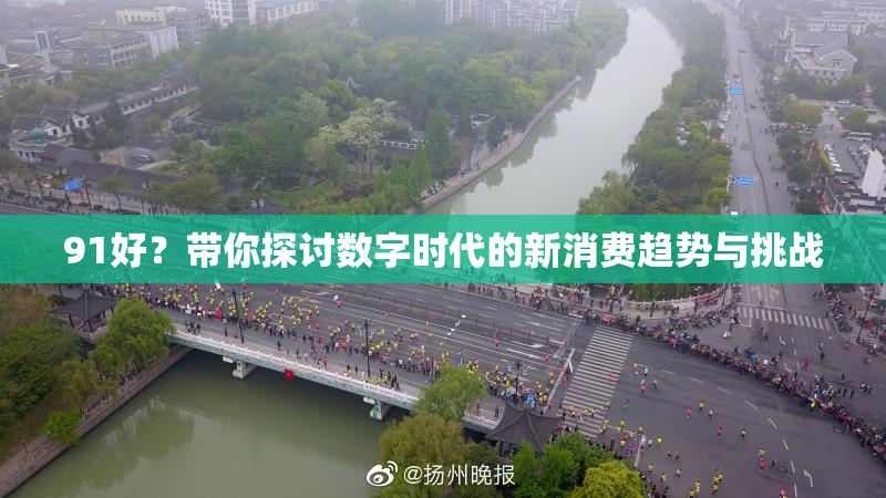 91好？带你探讨数字时代的新消费趋势与挑战