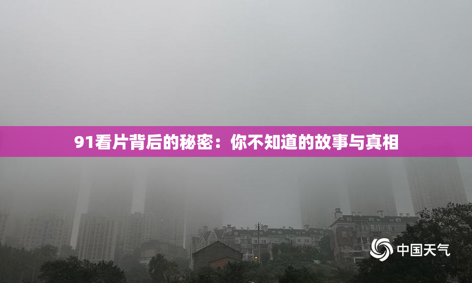 91看片背后的秘密：你不知道的故事与真相