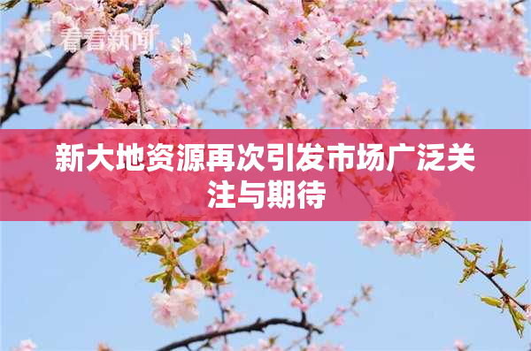 新大地资源再次引发市场广泛关注与期待