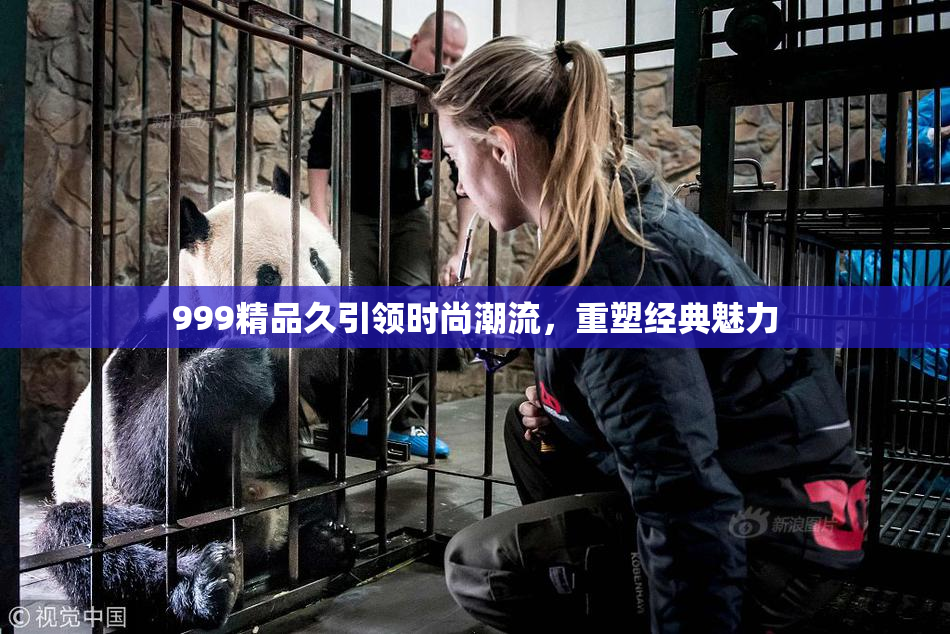 999精品久引领时尚潮流，重塑经典魅力