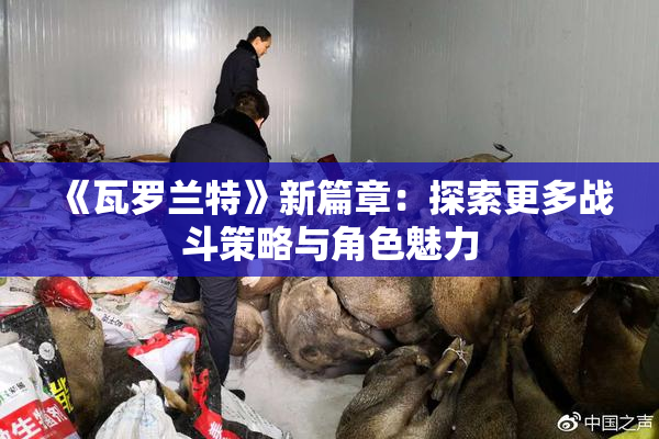 《瓦罗兰特》新篇章：探索更多战斗策略与角色魅力