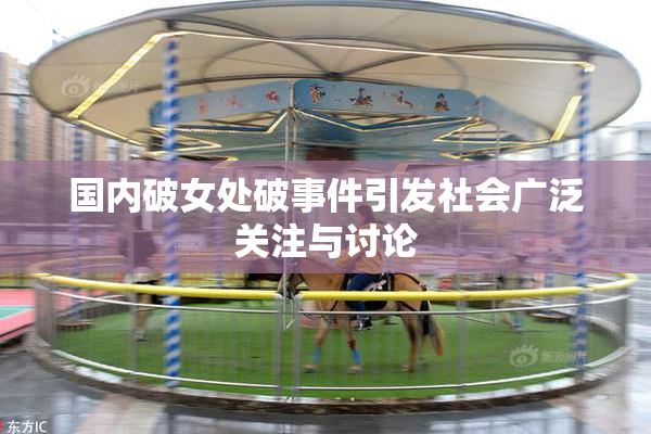国内破女处破事件引发社会广泛关注与讨论
