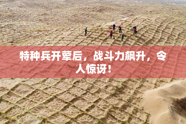 特种兵开荤后，战斗力飙升，令人惊讶！