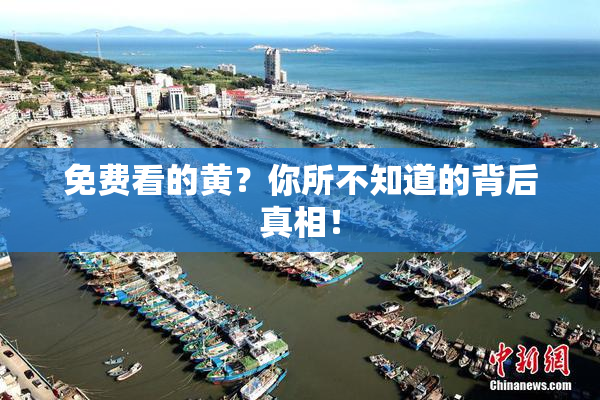 免费看的黄？你所不知道的背后真相！