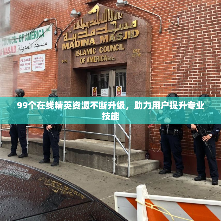 99个在线精英资源不断升级，助力用户提升专业技能