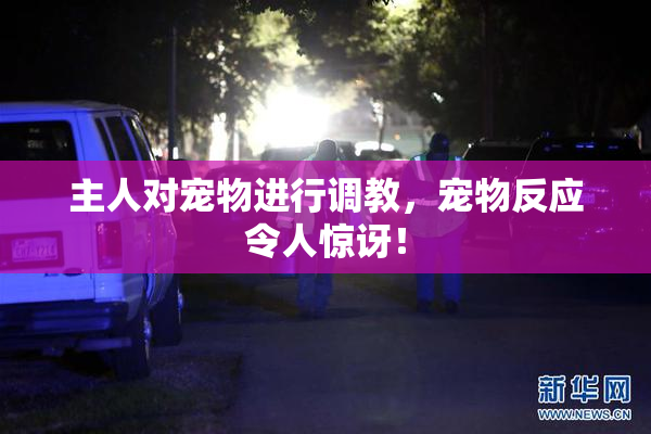 主人对宠物进行调教，宠物反应令人惊讶！