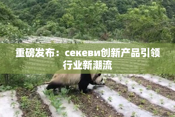 重磅发布：ceкеви创新产品引领行业新潮流