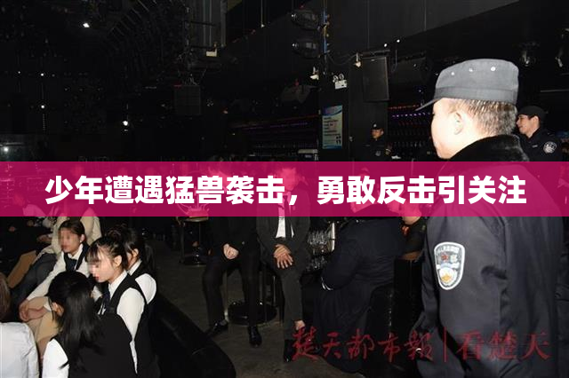 少年遭遇猛兽袭击，勇敢反击引关注