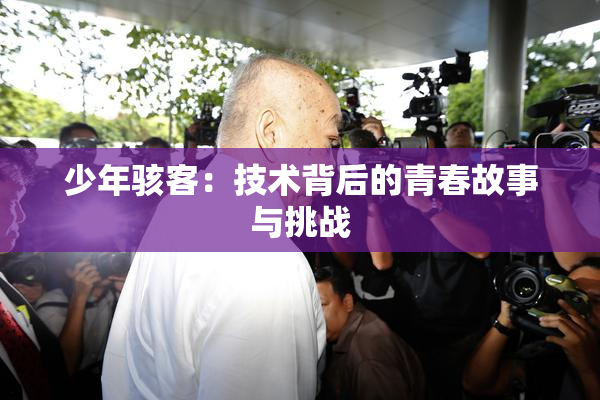 少年骇客：技术背后的青春故事与挑战