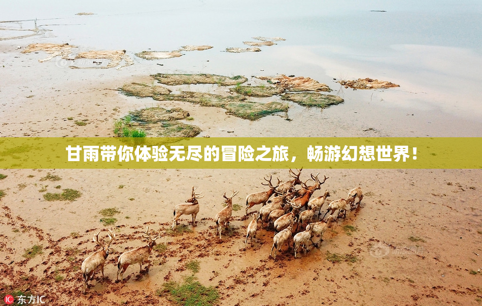 甘雨带你体验无尽的冒险之旅，畅游幻想世界！