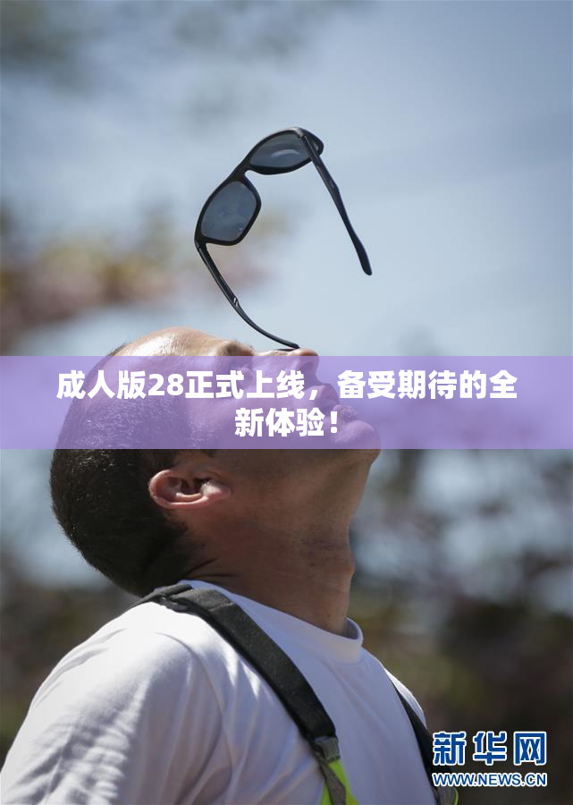 成人版28正式上线，备受期待的全新体验！