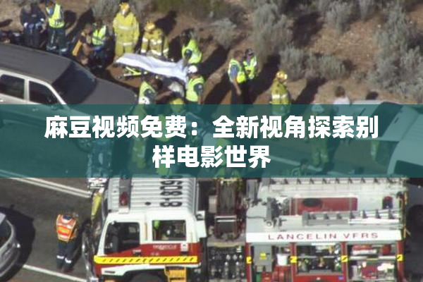 麻豆视频免费：全新视角探索别样电影世界