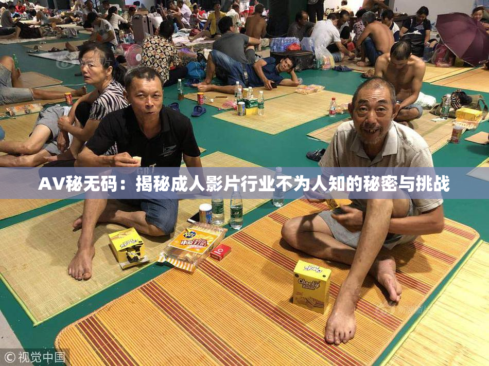 AV秘无码：揭秘成人影片行业不为人知的秘密与挑战