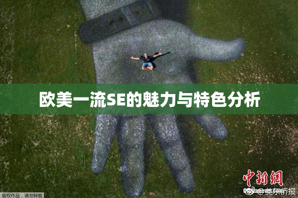 欧美一流SE的魅力与特色分析