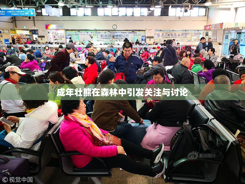 成年壮熊在森林中引发关注与讨论