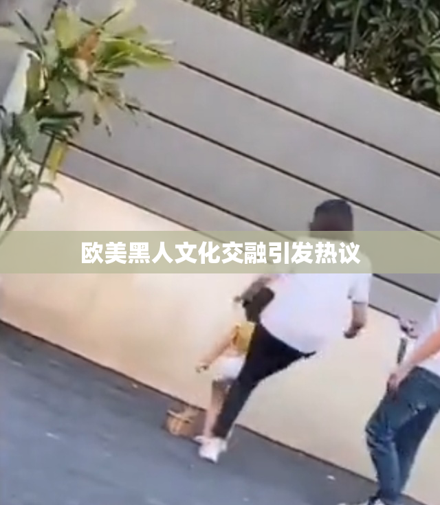 欧美黑人文化交融引发热议