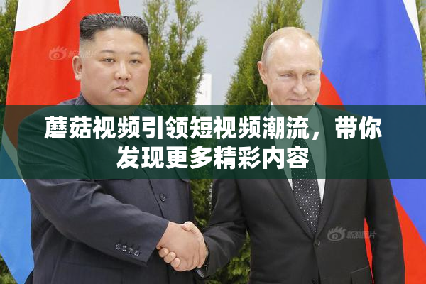 蘑菇视频引领短视频潮流，带你发现更多精彩内容
