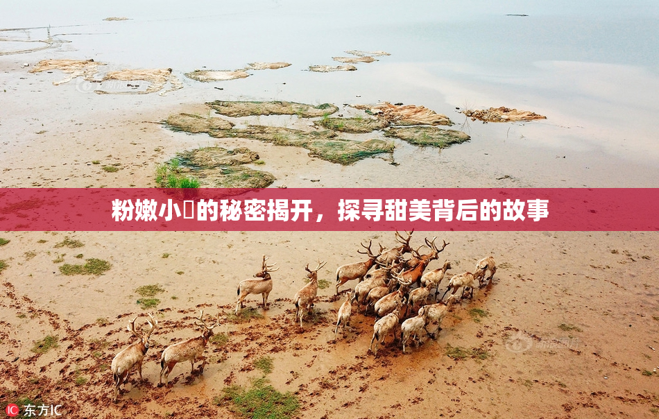 粉嫩小泬的秘密揭开，探寻甜美背后的故事