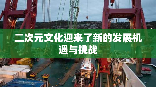二次元文化迎来了新的发展机遇与挑战