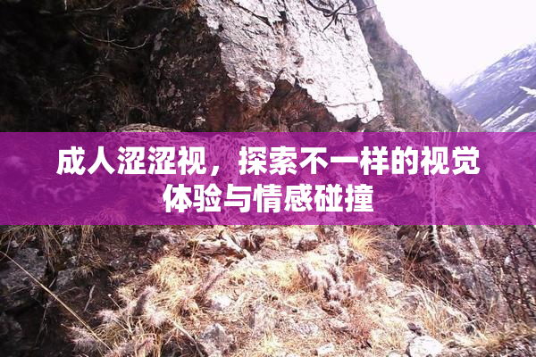 成人涩涩视，探索不一样的视觉体验与情感碰撞