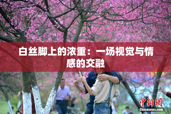白丝脚上的浓重：一场视觉与情感的交融