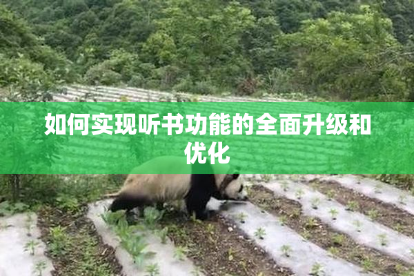 如何实现听书功能的全面升级和优化