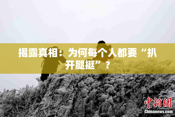 揭露真相：为何每个人都要“扒开腿挺”？