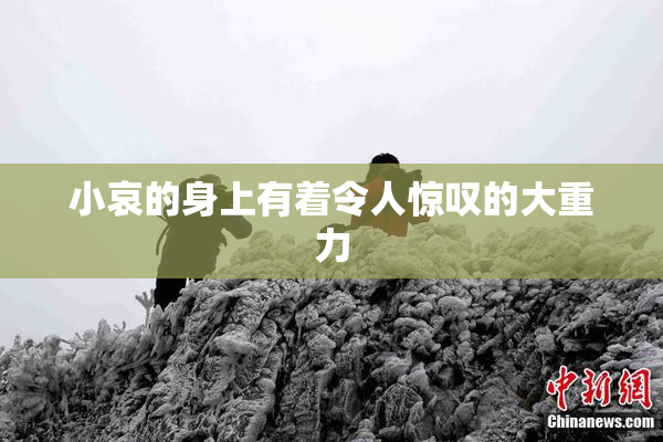 小哀的身上有着令人惊叹的大重力