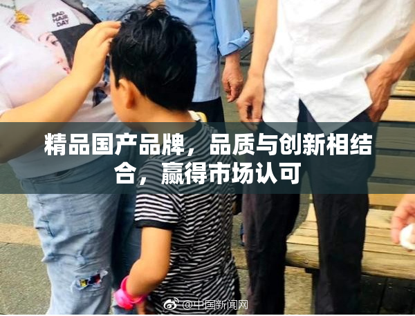 精品国产品牌，品质与创新相结合，赢得市场认可