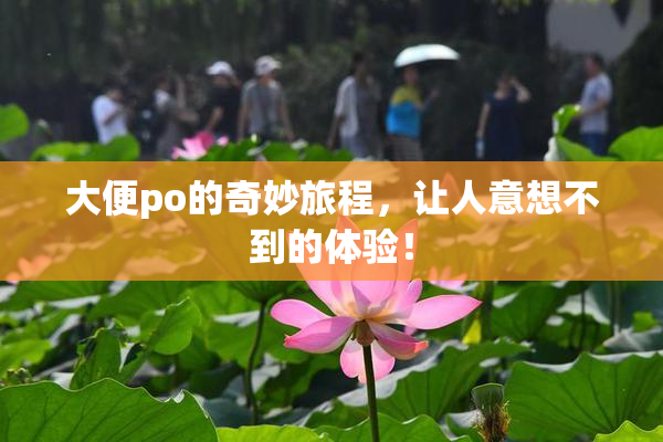 大便po的奇妙旅程，让人意想不到的体验！