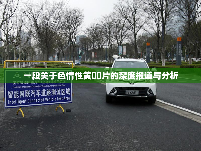 一段关于色情性黄❌‌片的深度报道与分析