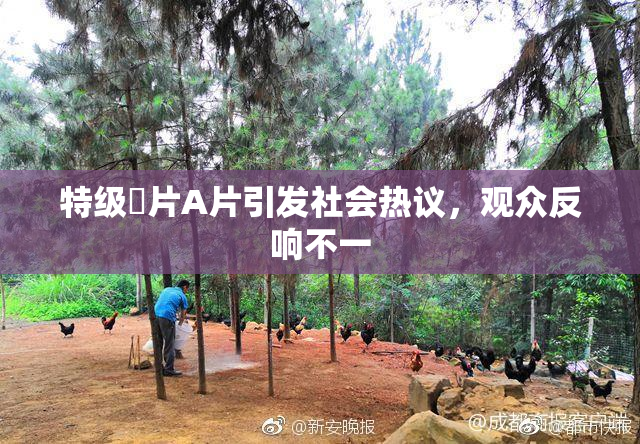 特级婬片A片引发社会热议，观众反响不一