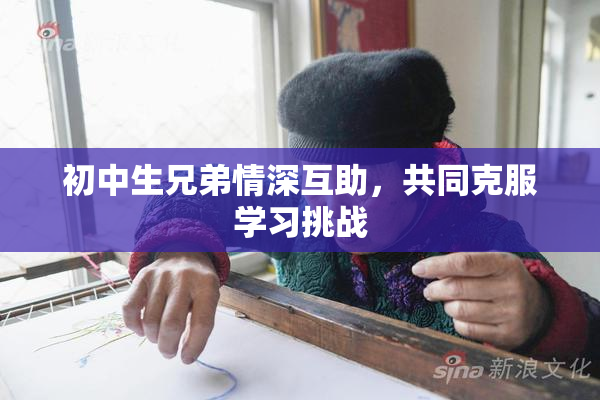 初中生兄弟情深互助，共同克服学习挑战