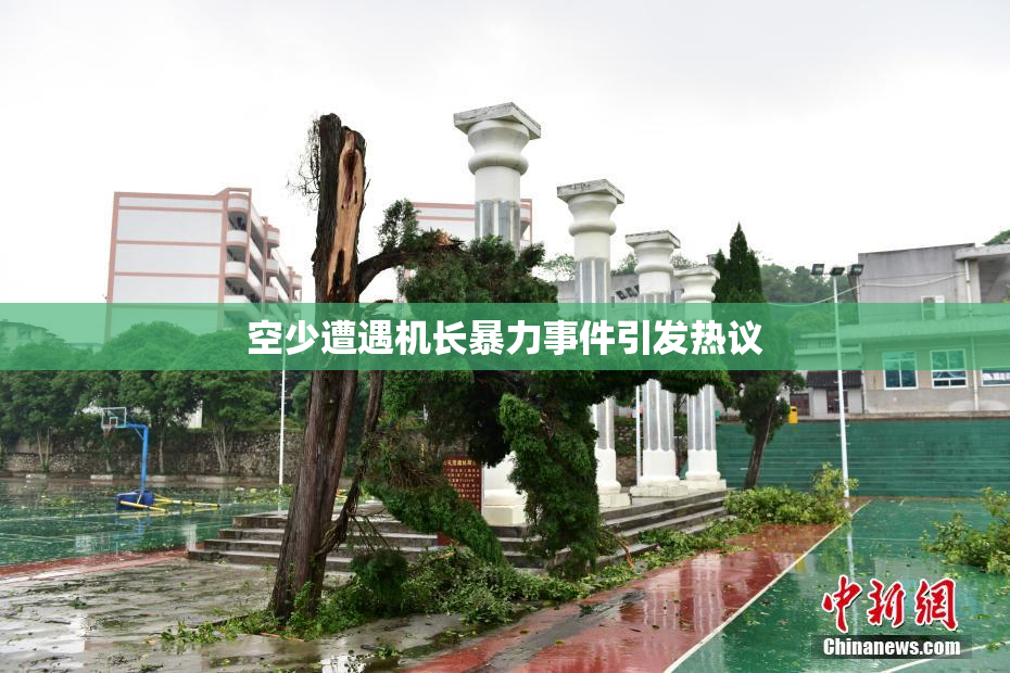 空少遭遇机长暴力事件引发热议