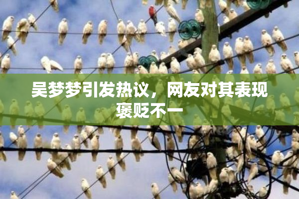 吴梦梦引发热议，网友对其表现褒贬不一