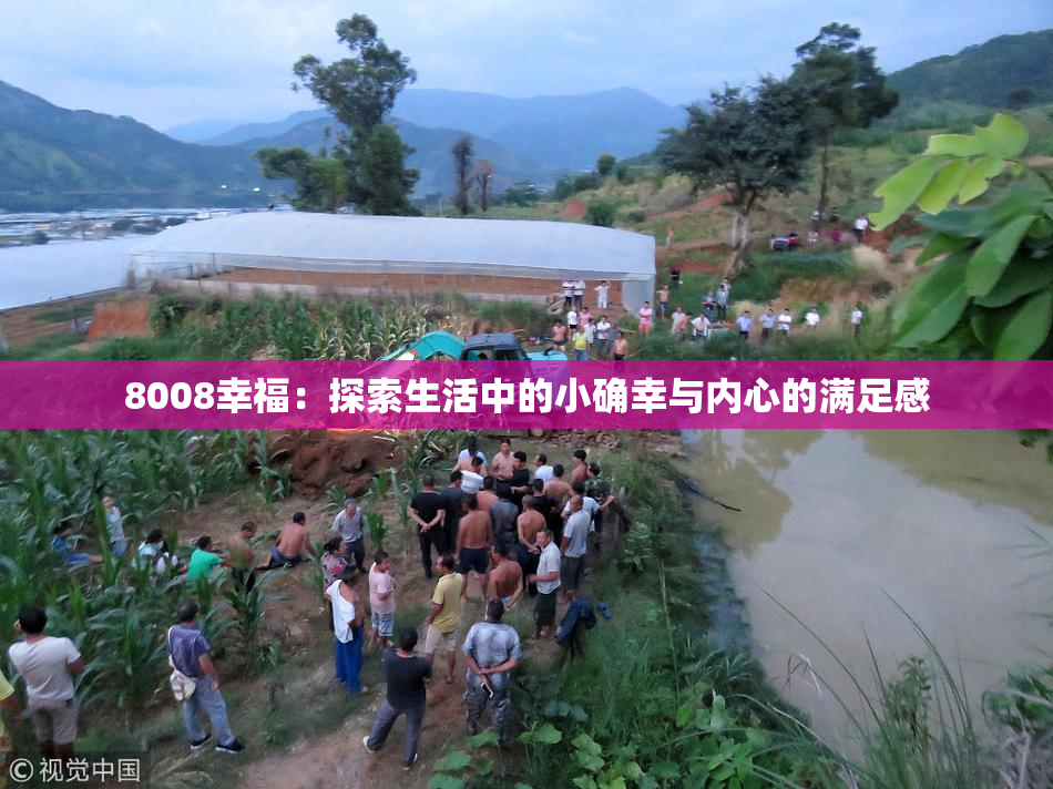 8008幸福：探索生活中的小确幸与内心的满足感