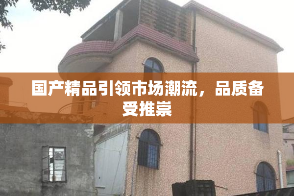 国产精品引领市场潮流，品质备受推崇