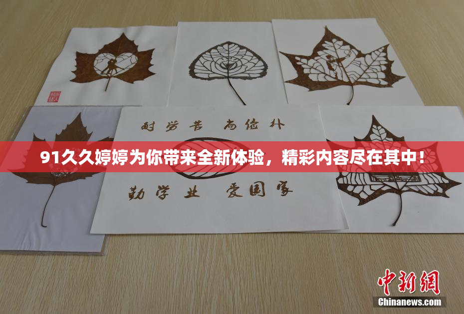 91久久婷婷为你带来全新体验，精彩内容尽在其中！
