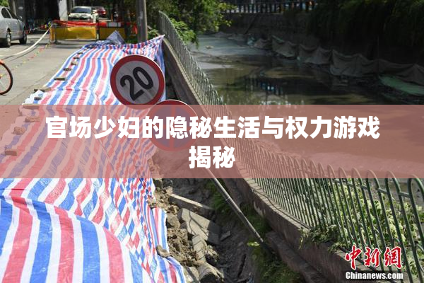 官场少妇的隐秘生活与权力游戏揭秘