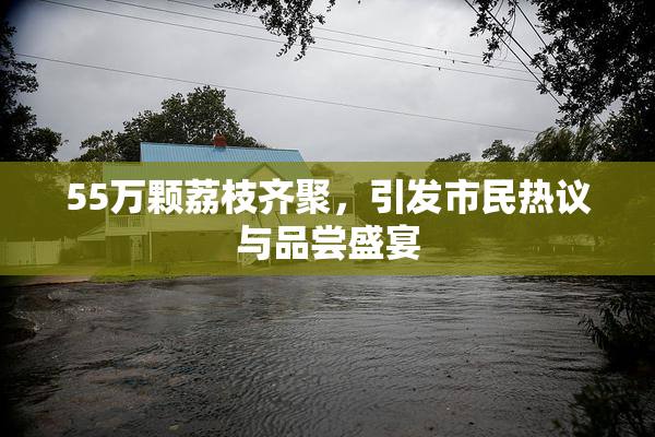 55万颗荔枝齐聚，引发市民热议与品尝盛宴